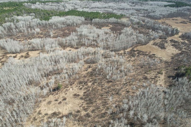 dji_fly_20260415_161236_154_1776288023830_photo