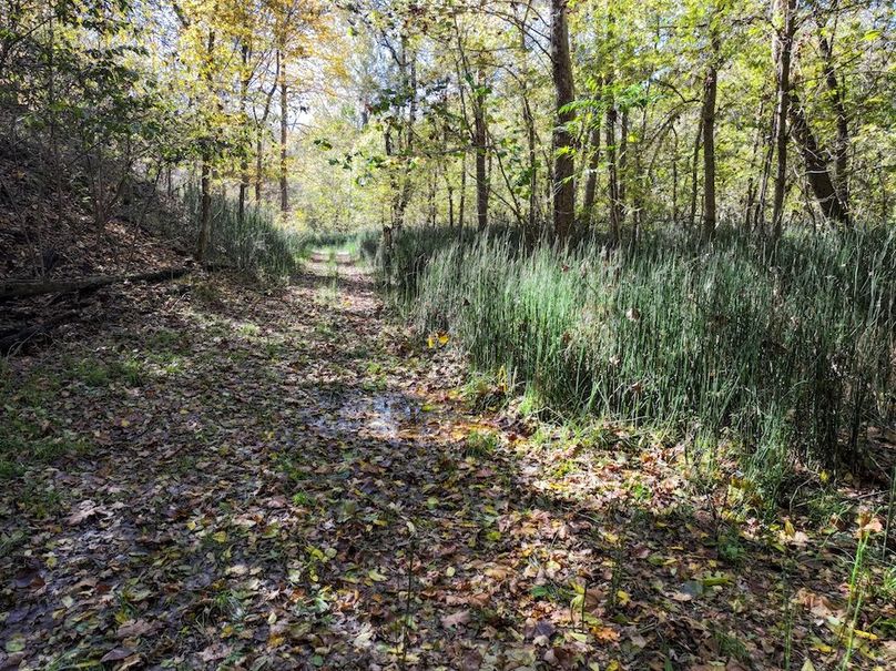 Copy of DJI_20251031134033_0789_D