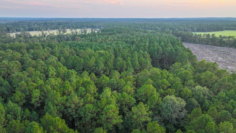 DJI_20250918185437_0290_D