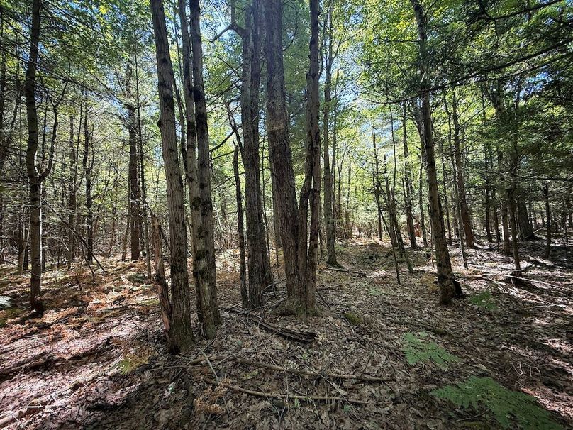 Jefferson NY 195.6 Parker Photos 38