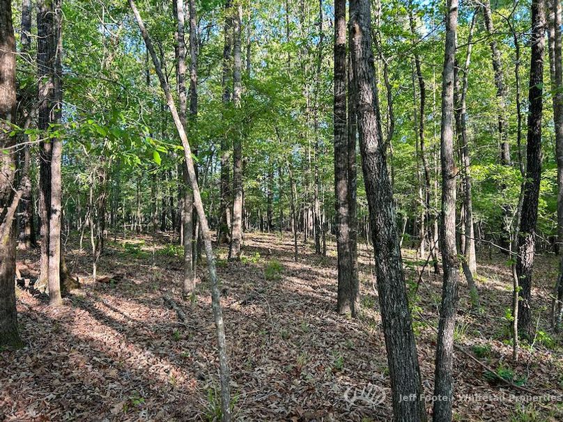 Hinds Co - 51 - Hughes-84