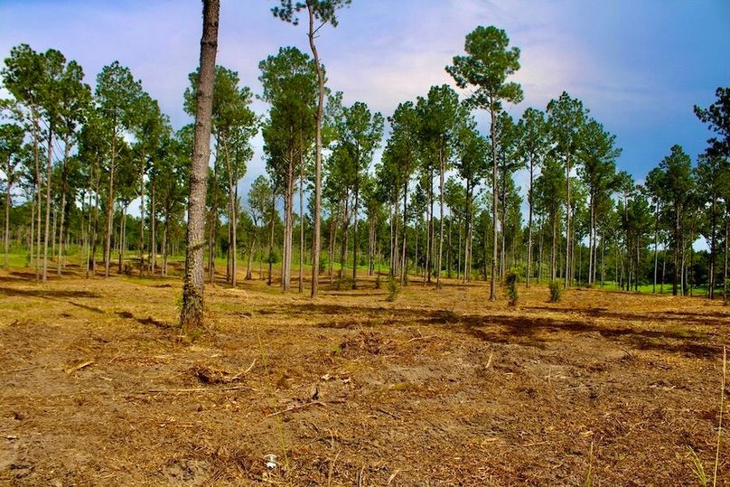 FD0D497D-B030-42C8-895D-712FB1F791E8_1_105_c