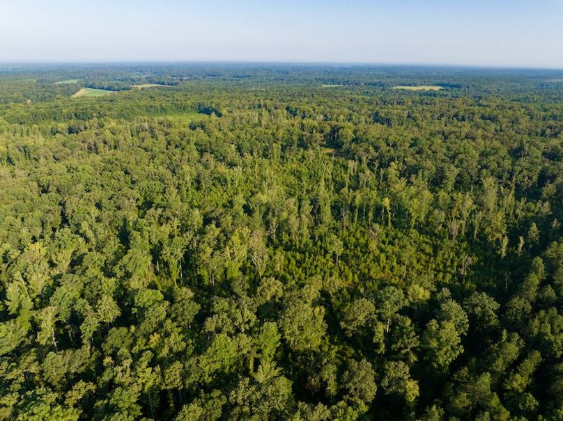 Itawamba 400 Moore-66