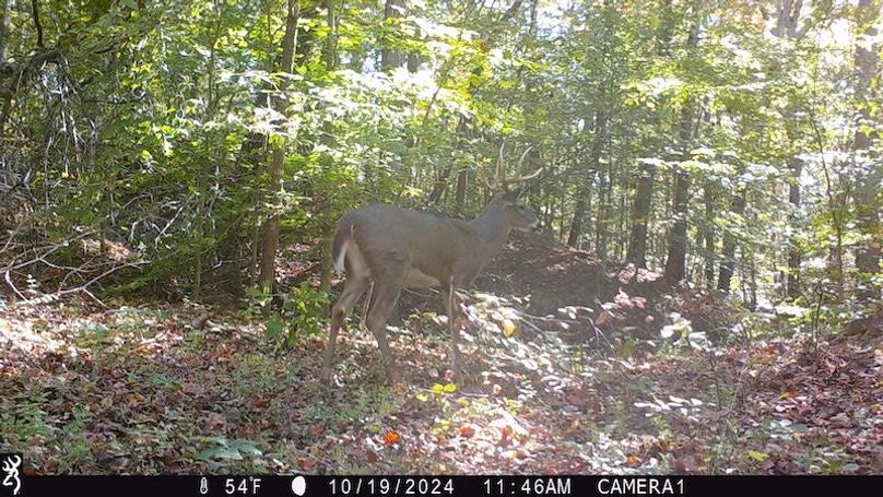 trail cam39