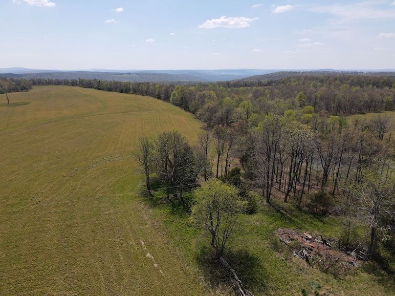 dji_fly_20260408_131912_433_1775672377289_photo