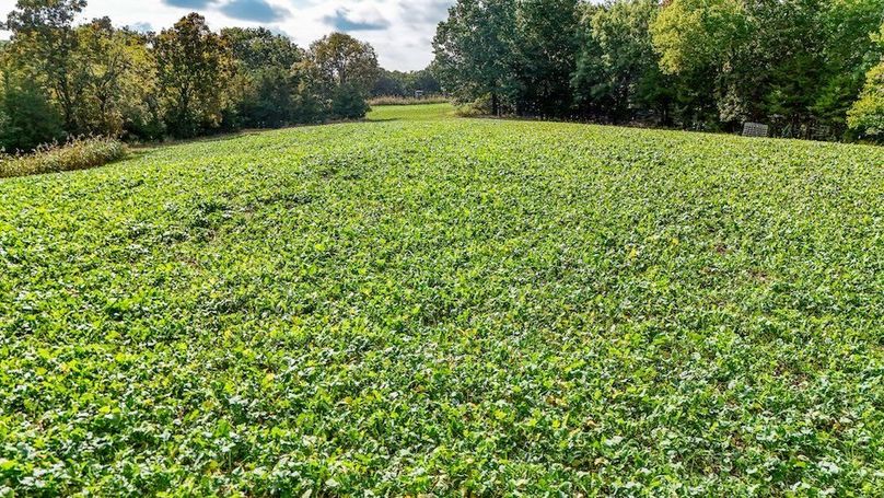 DJI_20251011141311_0064_D