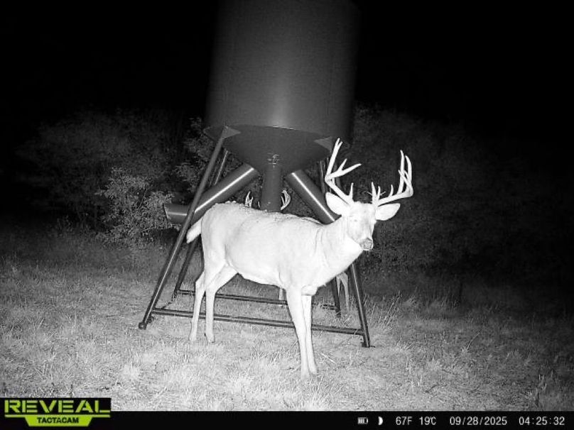 865977050266538-50-4-09282025042532-W1012512