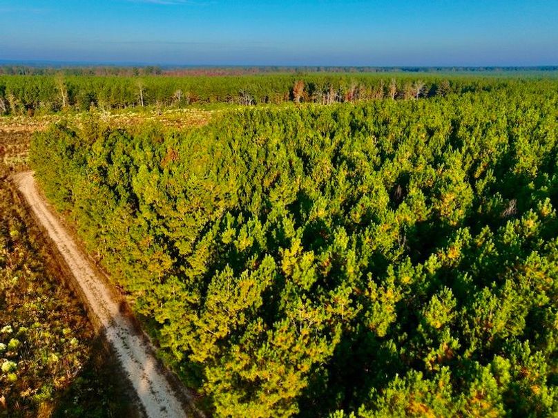 759A4B2E-5468-4FC0-BBA0-53EF5E242058_1_105_c