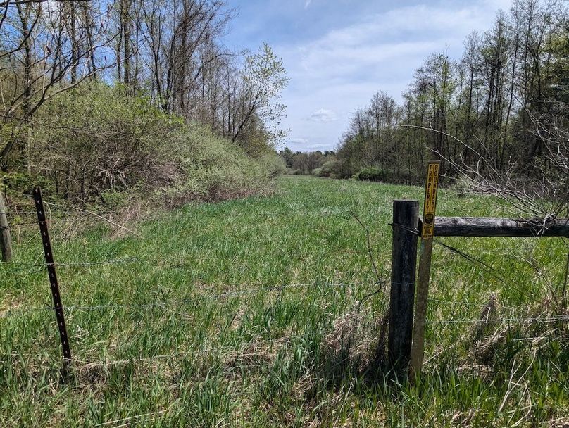 PXL_20250422_165249138