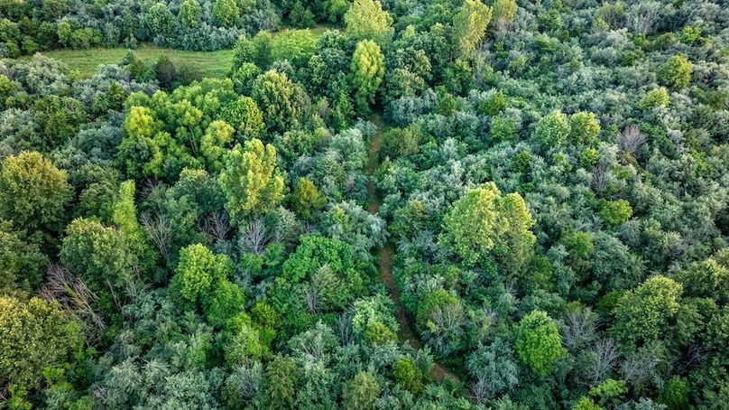 DJI_20250623165649_0027_D