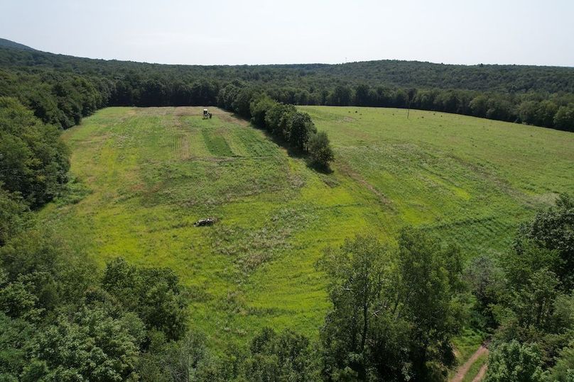 Copy of dji_fly_20250808_110152_153_1754665469484_photo