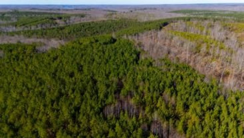 MCKINNON TRACT 19-29