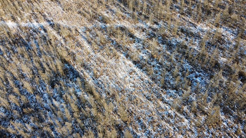 dji_fly_20240131_152812_915_1706897181881_photo_optimized