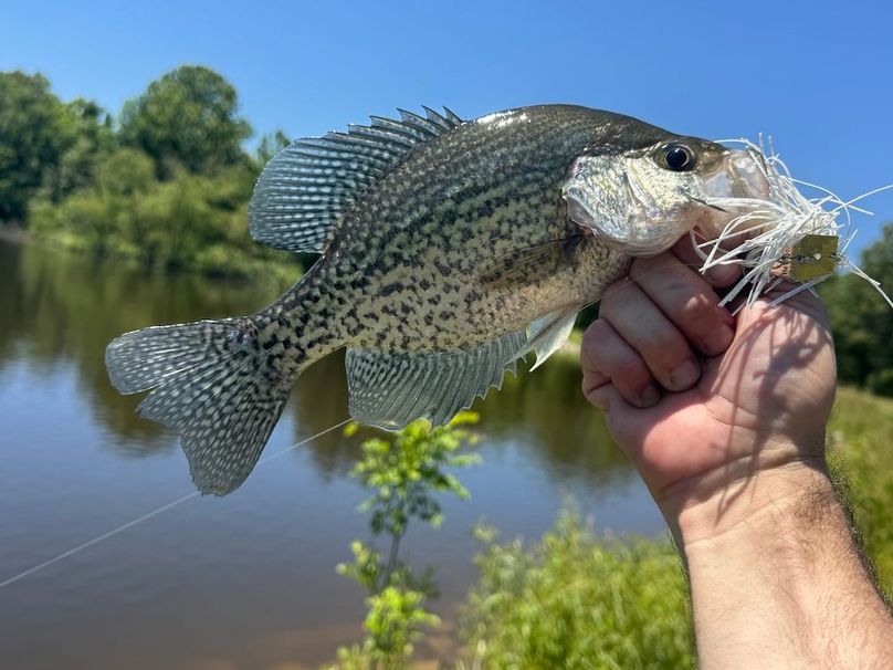 24DF9E14-4889-4DF8-8D83-6BBCAC47D76A