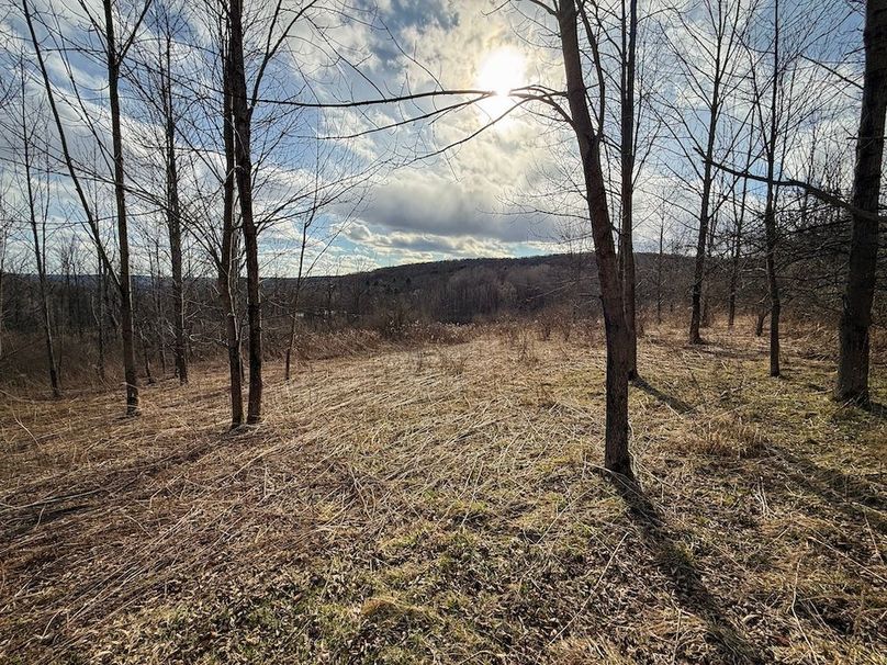 Chemung_59.65_Kocsis_photos_9