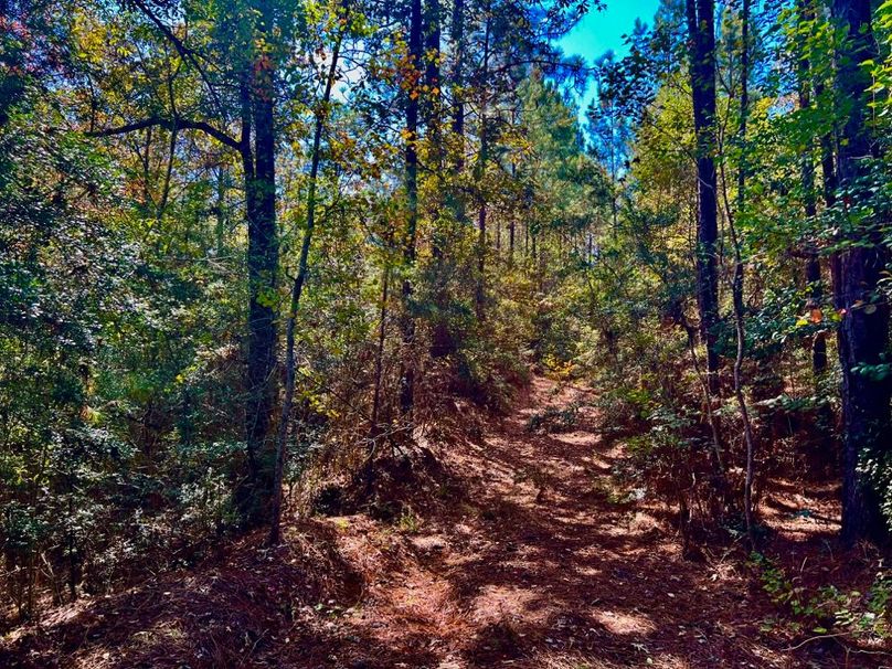 8153F205-E32C-4682-A803-450EAE871B19_1_201_a