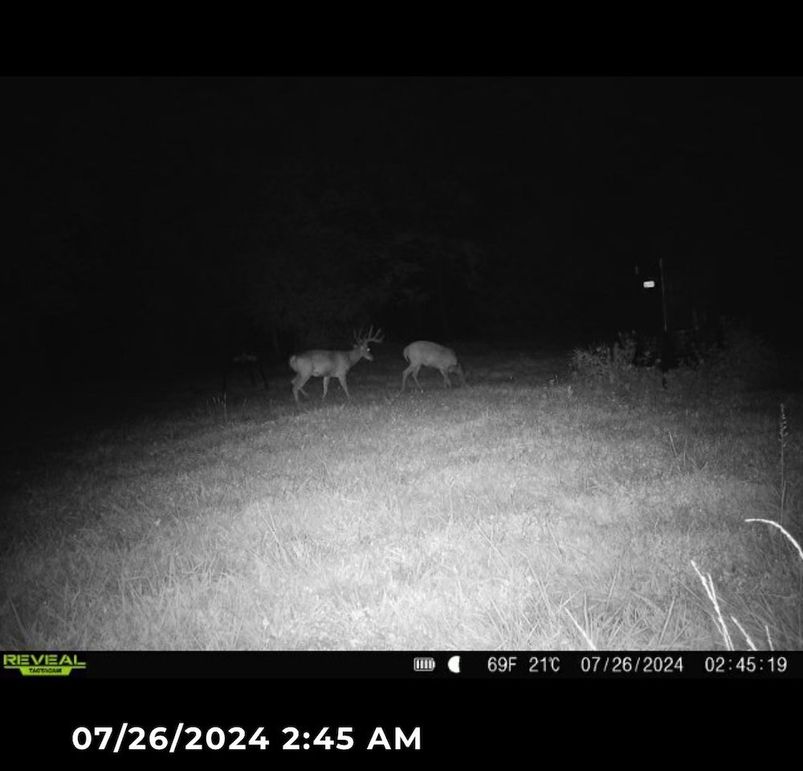 Trail Cam 6