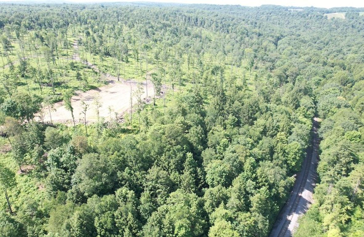 dji_fly_20250624_104102_358_1750776504912_photo