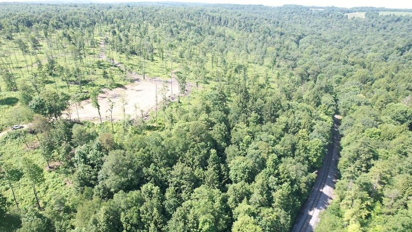 dji_fly_20250624_104102_358_1750776504912_photo