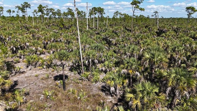 DJI_20251119125216_0999_D