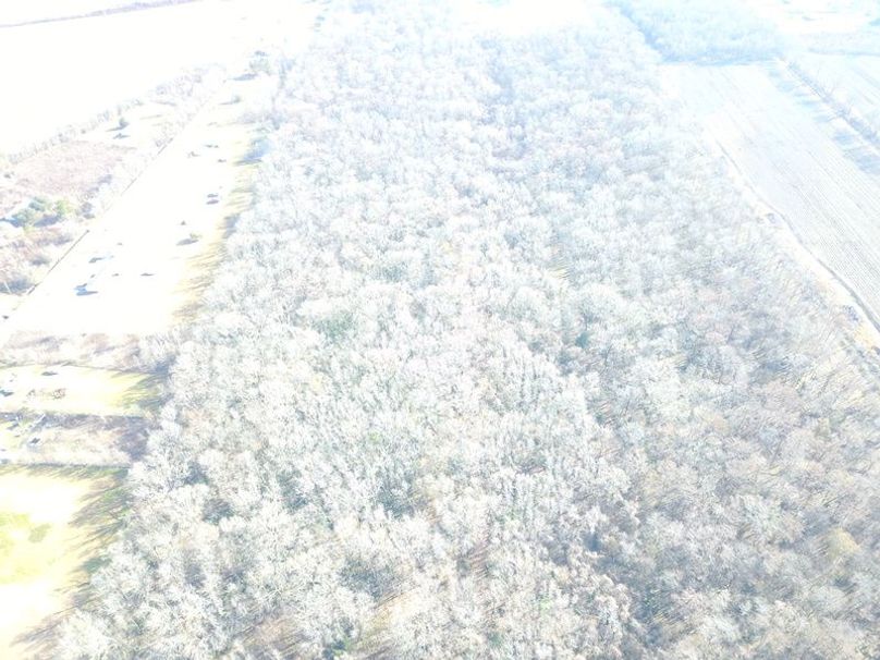 DJI_0017