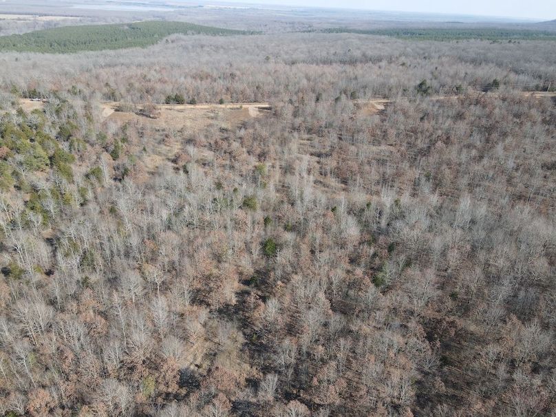 dji_fly_20250213_142336_8_1739478225897_photo