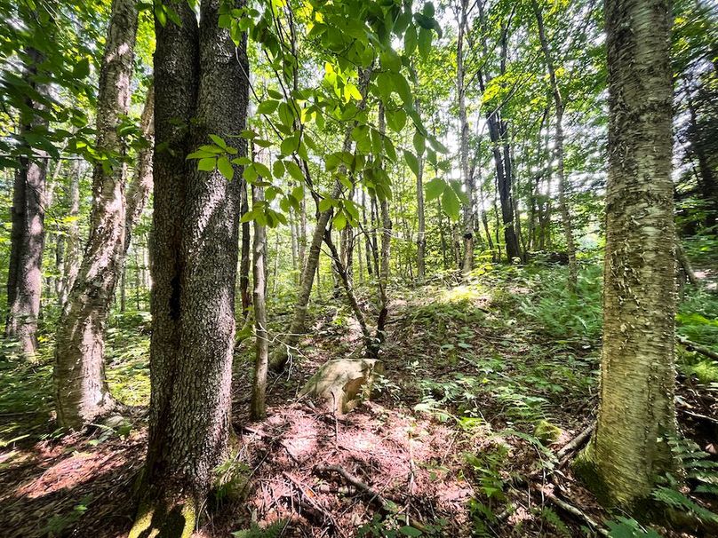 Oswego_100_Roof_Photos_40