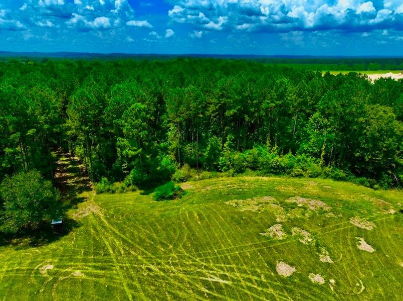 5FBB6486-D46C-42D1-B755-CDE362A45C7A_1_105_c