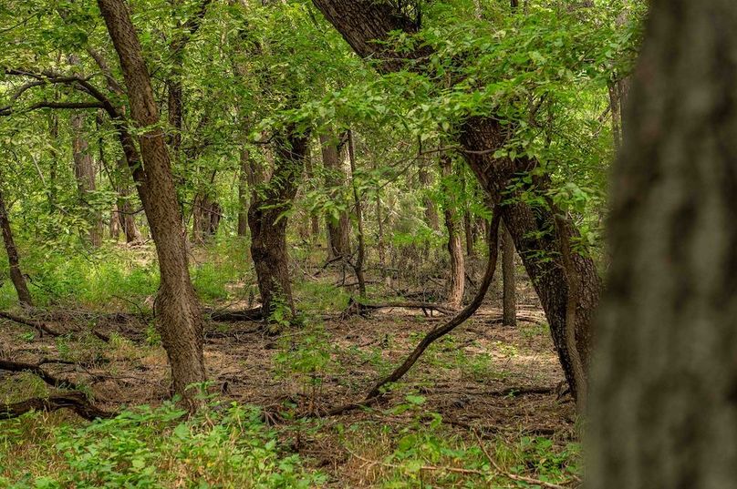 Copy of Copy of 6TRACT 2-7