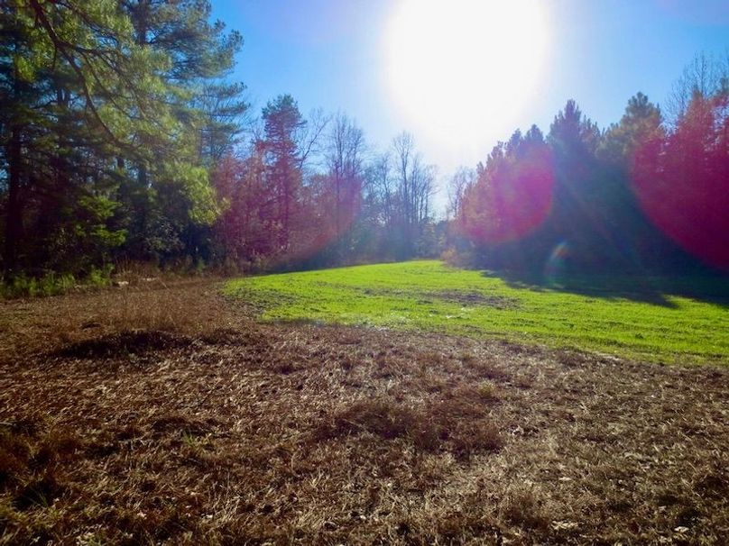 265D6FF4-50B3-4AA6-A699-2716B80CBD5C_1_105_c