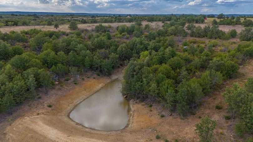 9. Lower pond aerial