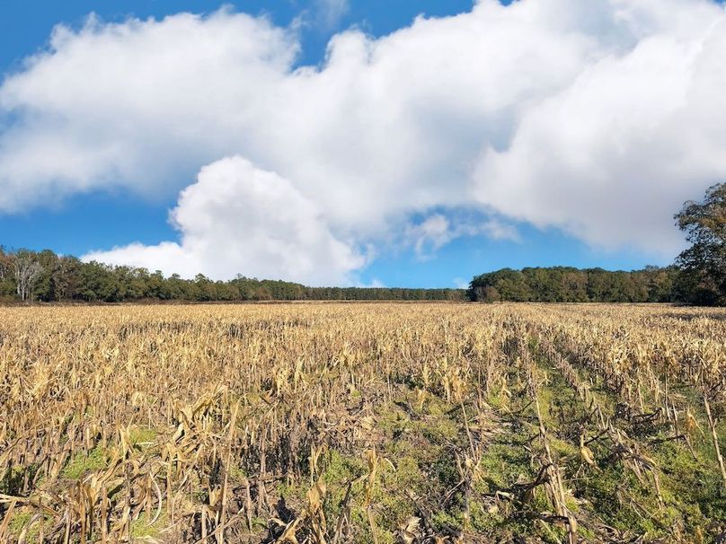 AD3BA8AF-5431-44BE-9BFB-2A41498BF965