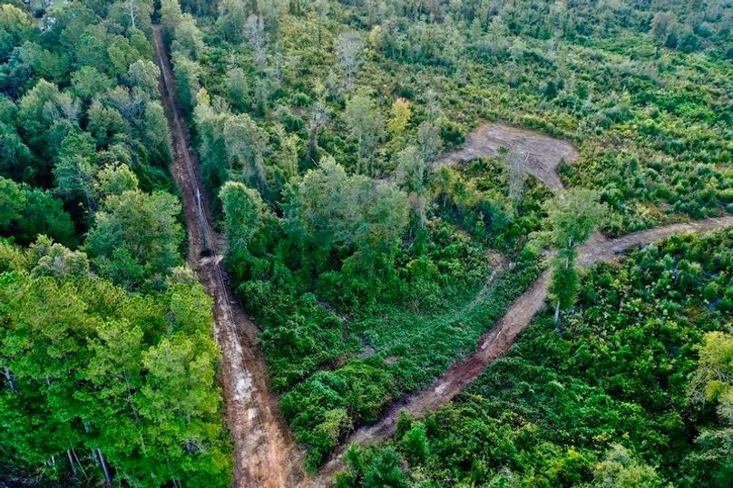 D0E22FA2-E9C1-4146-A490-737CB4ED4A2F_1_105_c