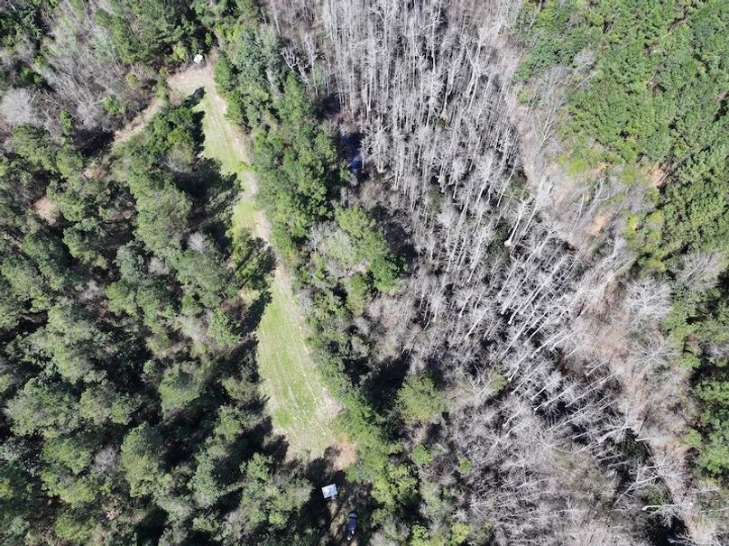 dji_fly_20260224_113156_0321_1772209051019_photo