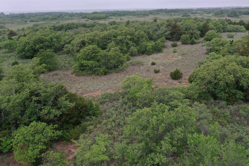 DJI_0422