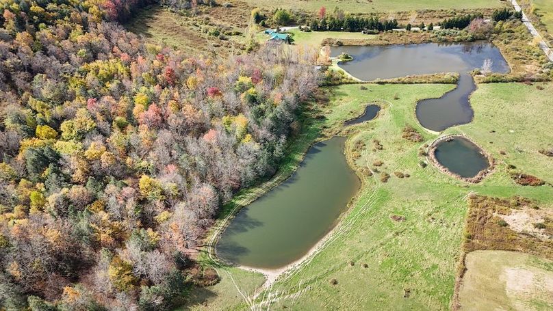 DJI_20251017124525_0700_D