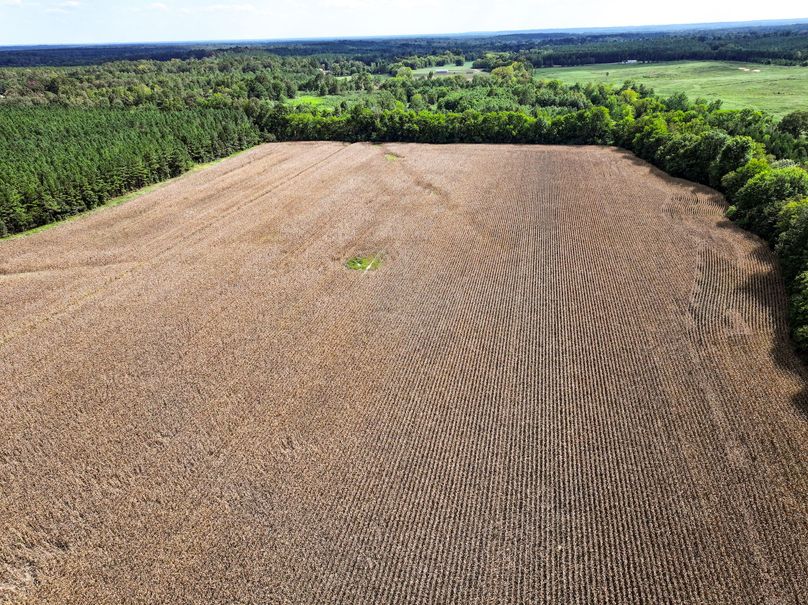 Lee County, MS 92+--06