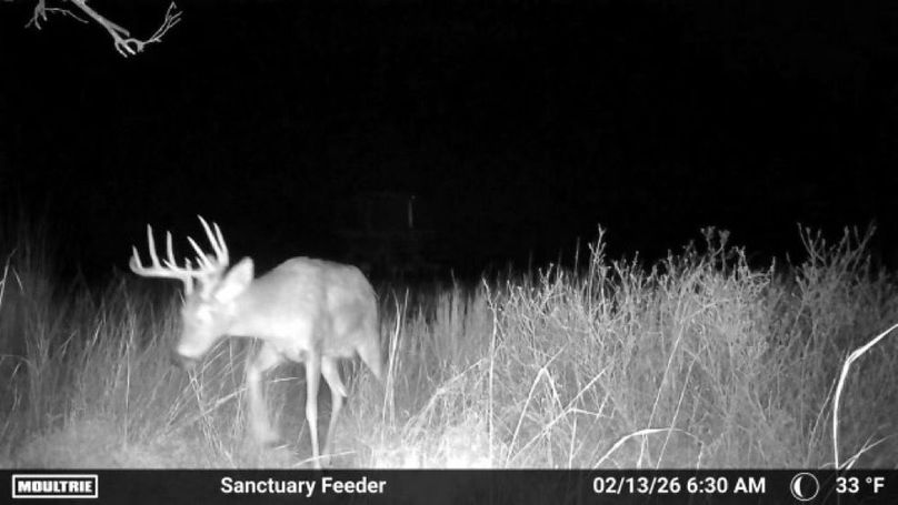 Temp_876933-20260213123037-100MFCAM_MFDC6554