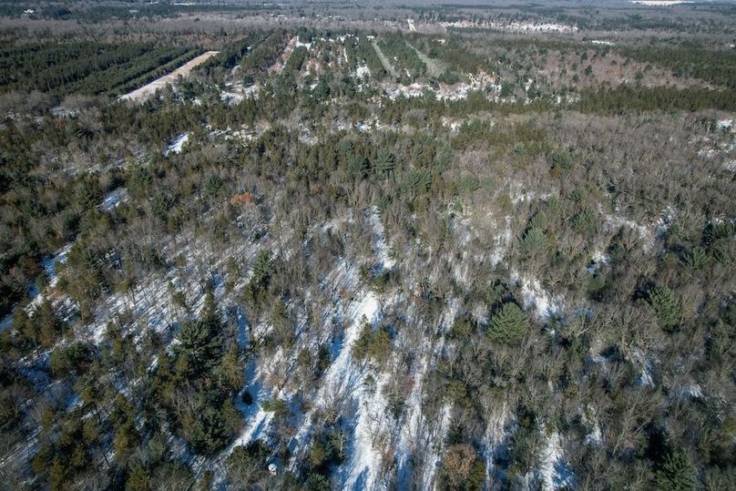 Adams 25, Nessler -77