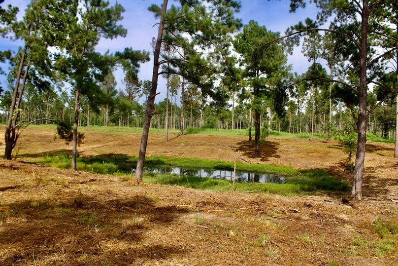 B290E4D7-F9E1-476D-9302-A983139D0DB5_1_105_c