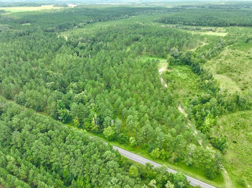 dji_fly_20240710_135326_549_1720634598240_photo