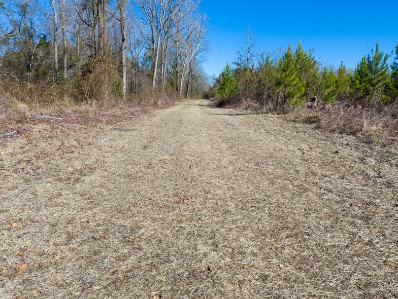 Pender NC 382 - Edits-25