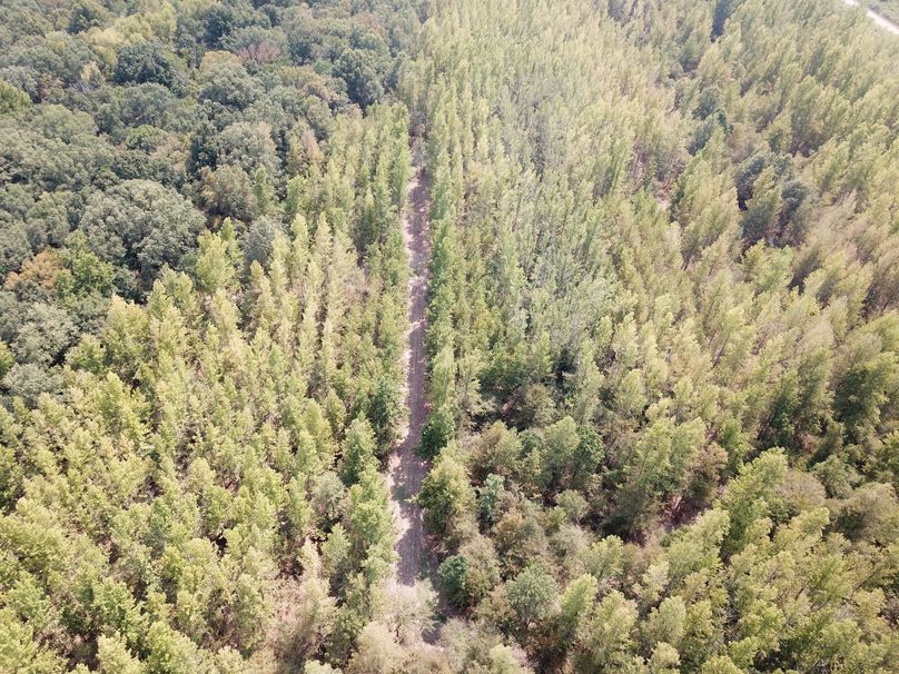 DJI_0759