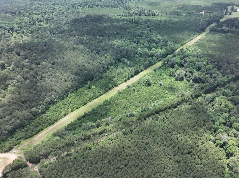 dji_fly_20260522_105406_0074_1779490428954_photo