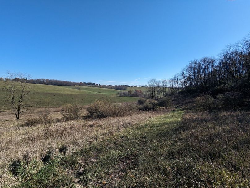 PXL_20231103_154432161