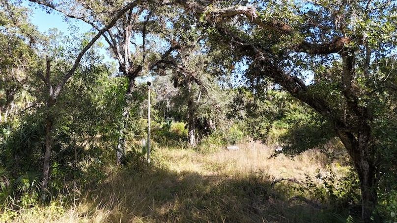 DJI_20251121124525_0027_D