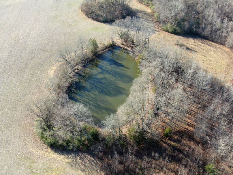 2Aerial Pond