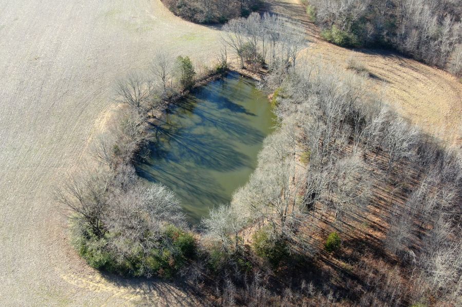 2Aerial Pond