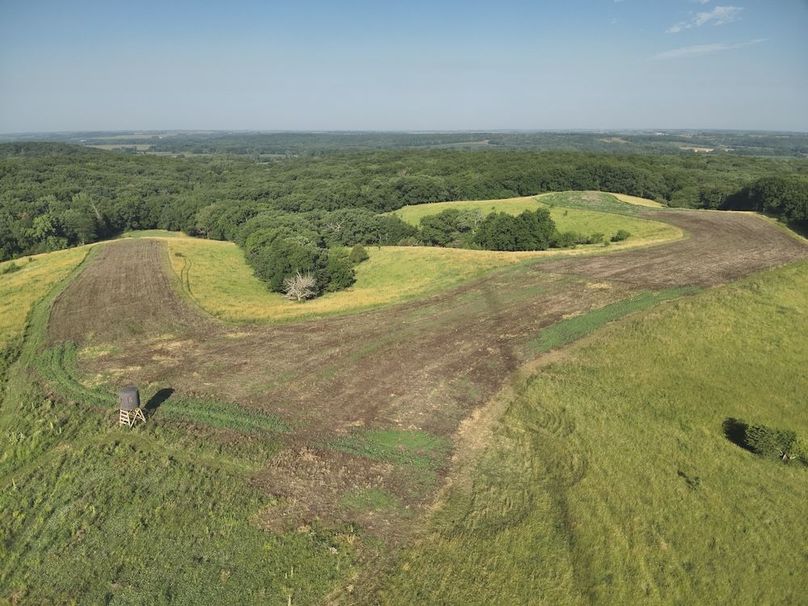 DJI_20240621081417_0009_V