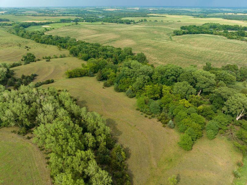 20230616-DJI_0389